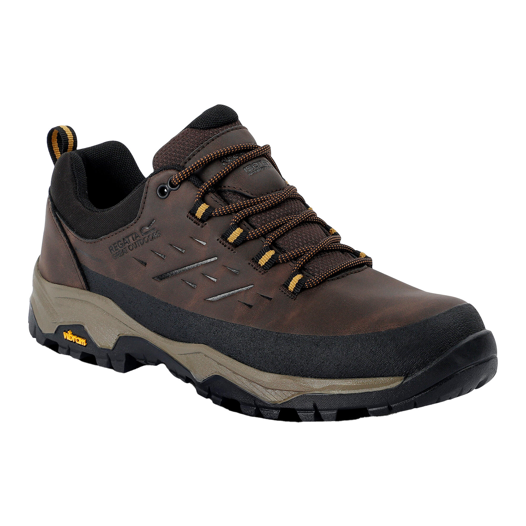 Męskie Buty Do Chodzenia Blake Low