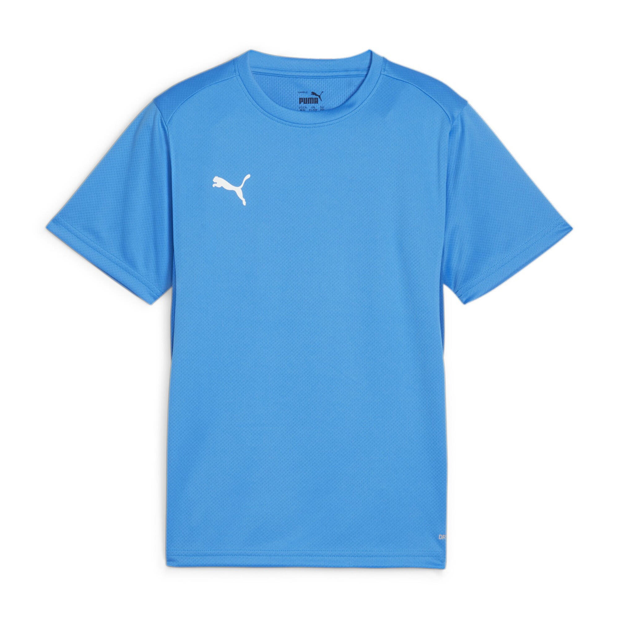 Koszulka dla dzieci Puma TeamGoal Jersey