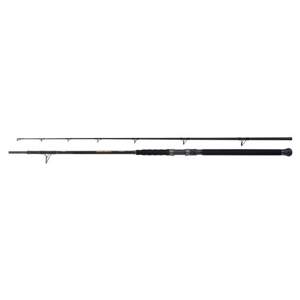Wędka spinningowa Shimano Beastmaster Catfish Multi 200g