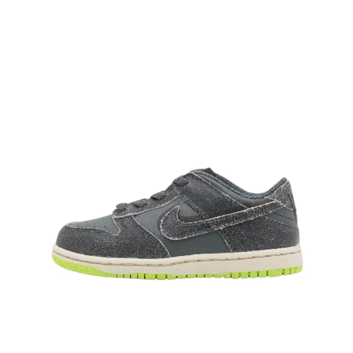 Dziecięce buty do chodzenia Nike Dunk Low Swoosh Shadow Iron Grey (2022)