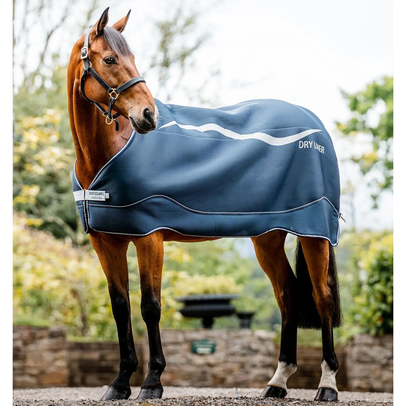 Suszenie podszewki derki dla koni Horseware