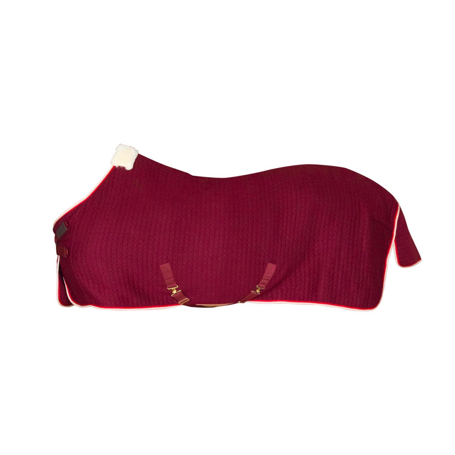 Koc do suszenia dla koni Kentucky Protherm