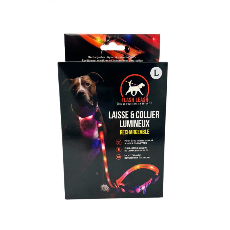 Light Up Dog Leash And Collar – Dog Leash