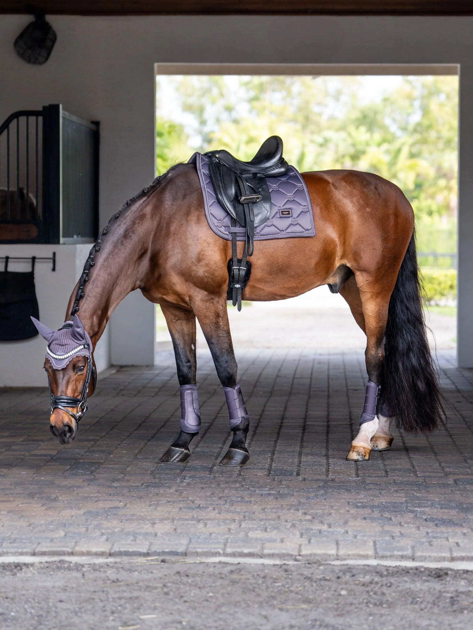 Mata ujeżdżeniowa dla koni Equestrian Stockholm