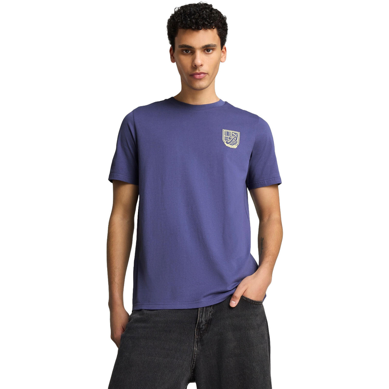 Koszulka męskie Puma Sports Legacy Graphic Tee