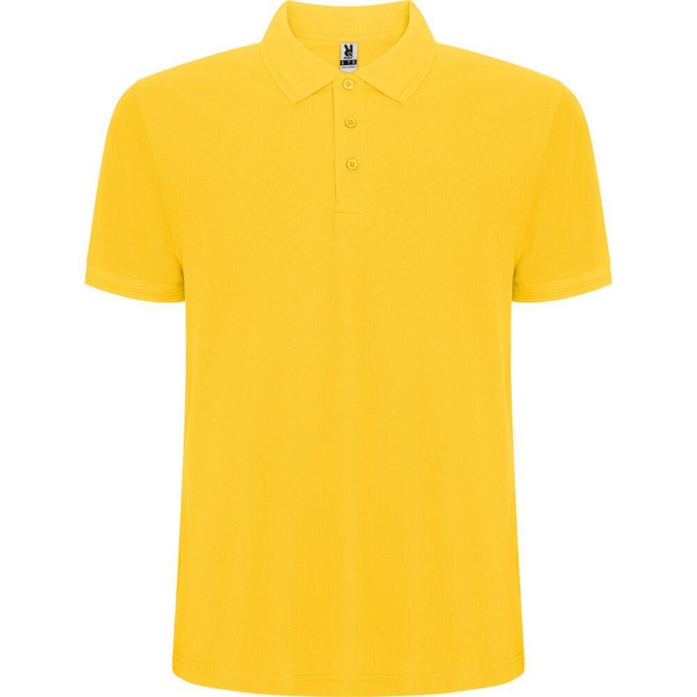 Męska Koszulka Polo Pegaso Premium Plain