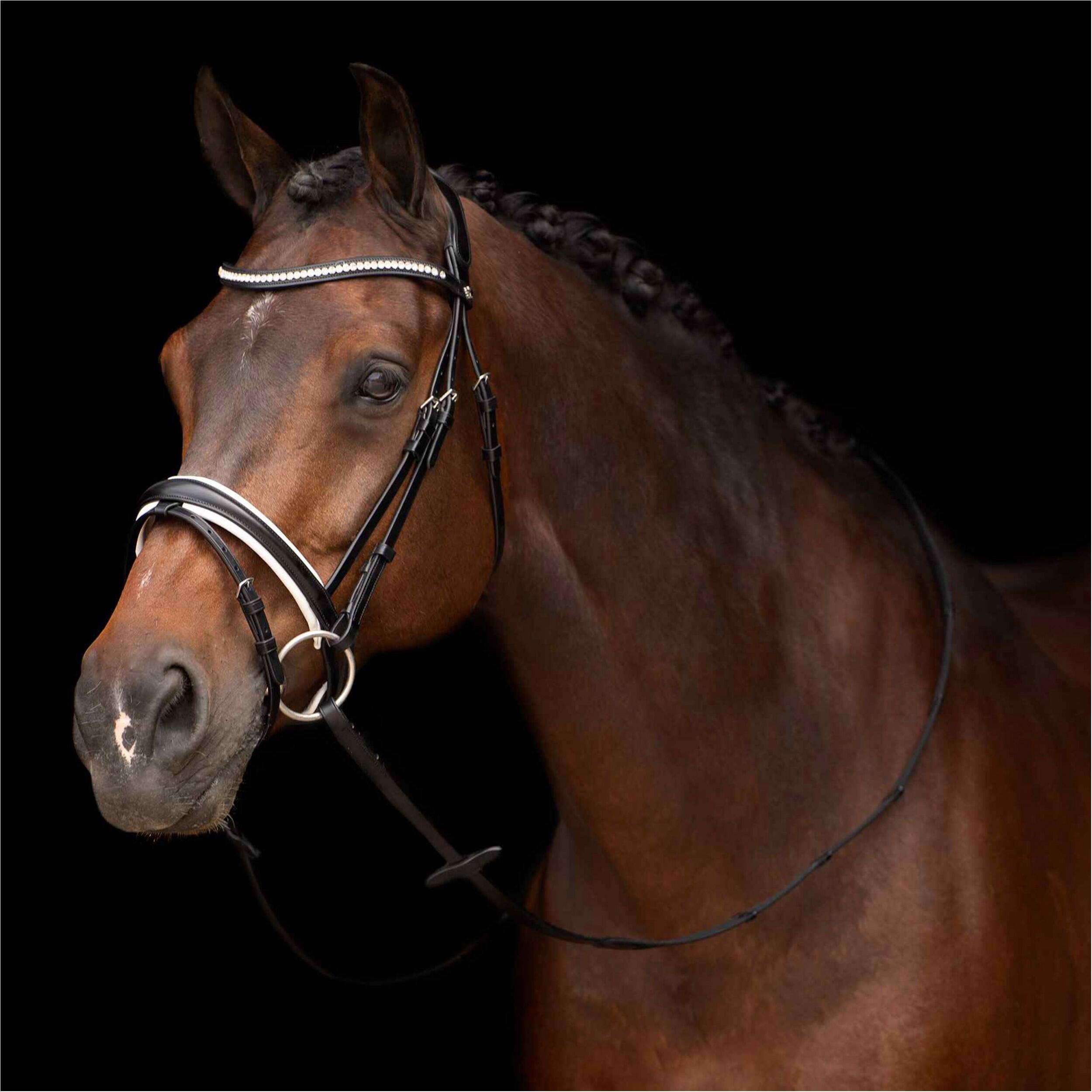 Uzda jeździecka HV Polo Legacy deluxe
