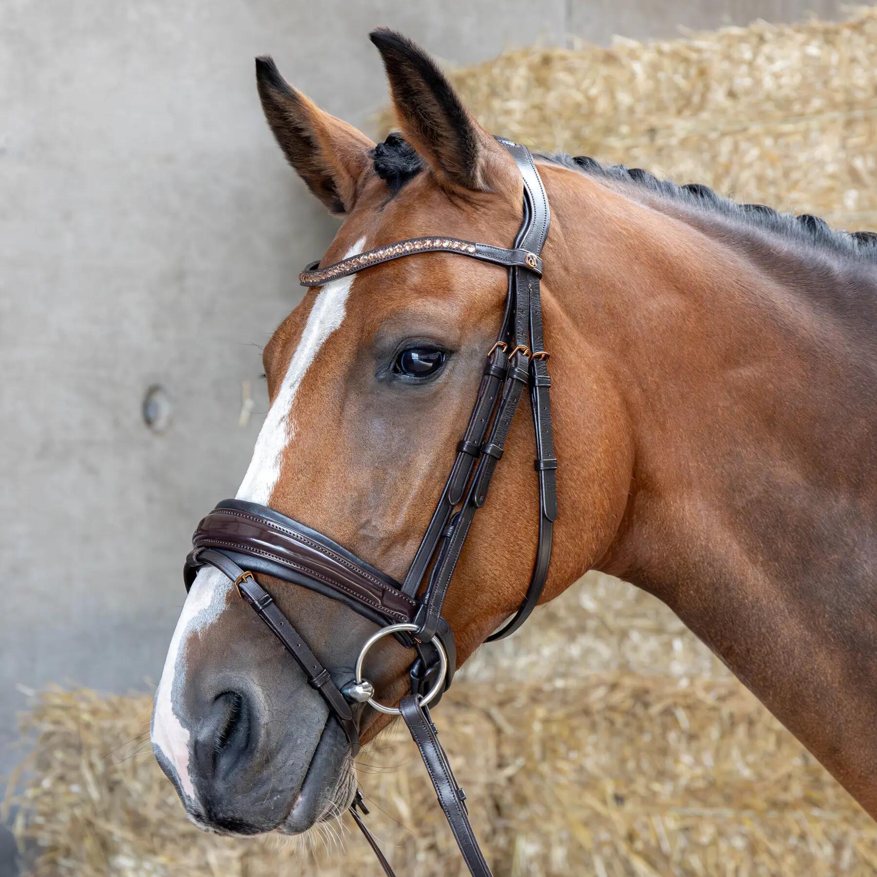 Uzda z nachrapnikiem kombinowanym Harry's Horse Copper