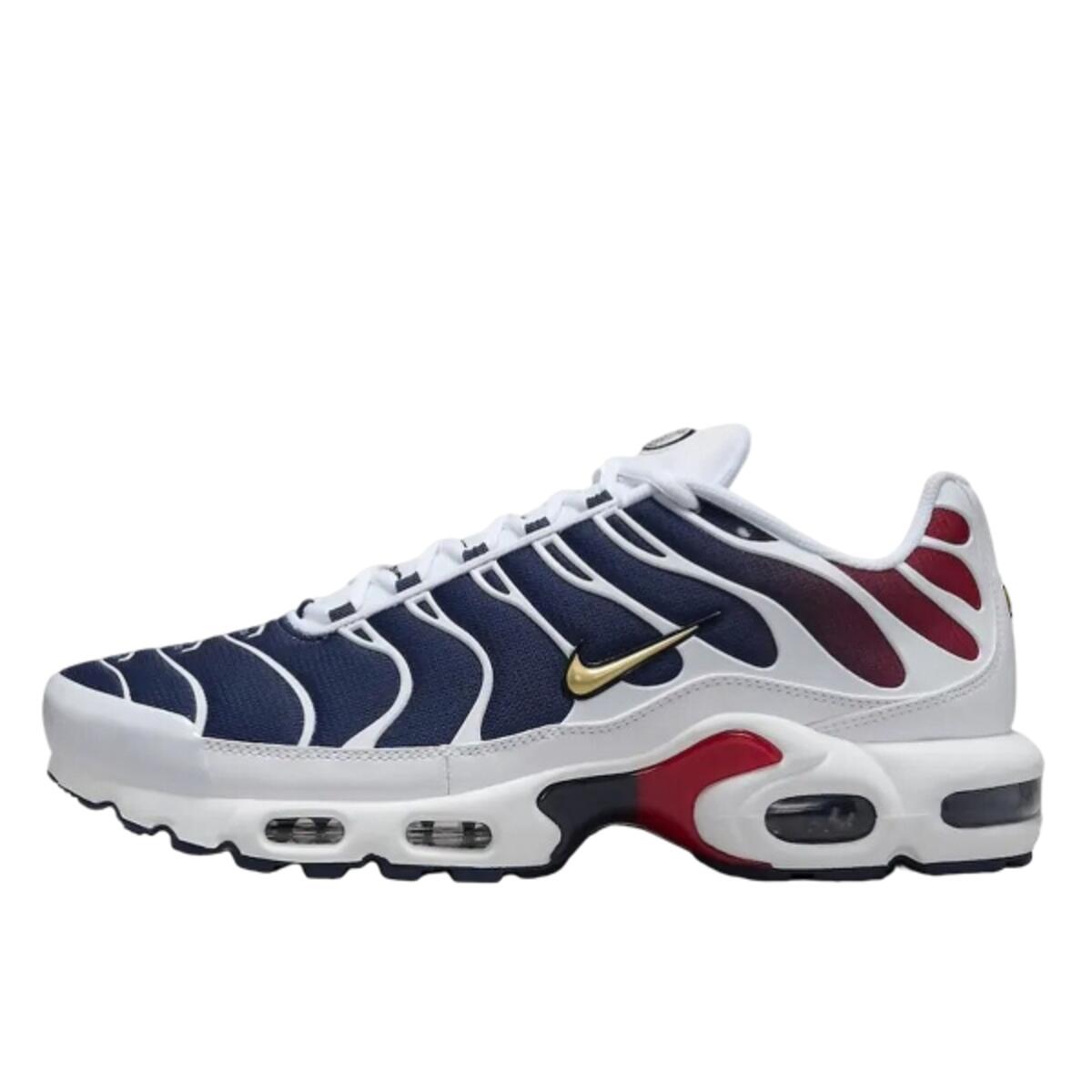 Nike Air Max Plus PSG