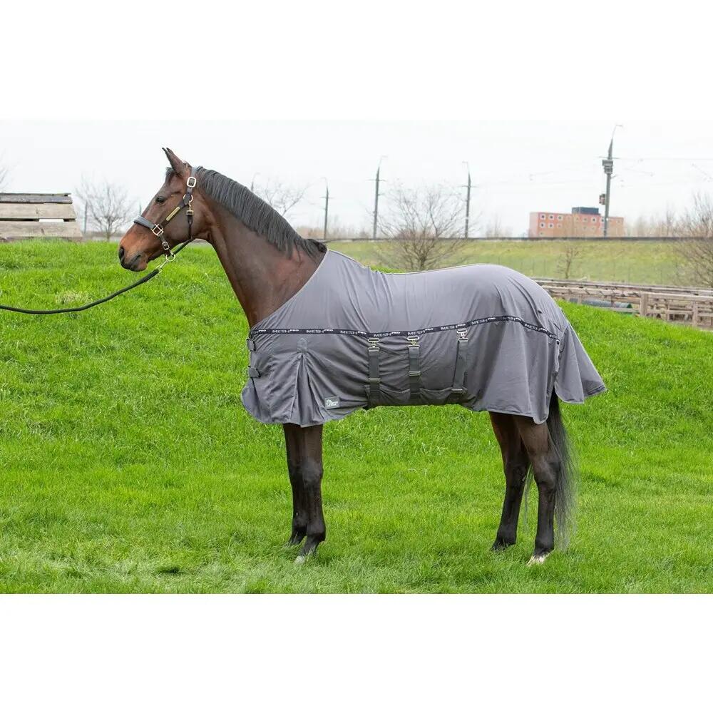 Derka przeciw muchom dla koni Harry's Horse Mesh Pro Belly