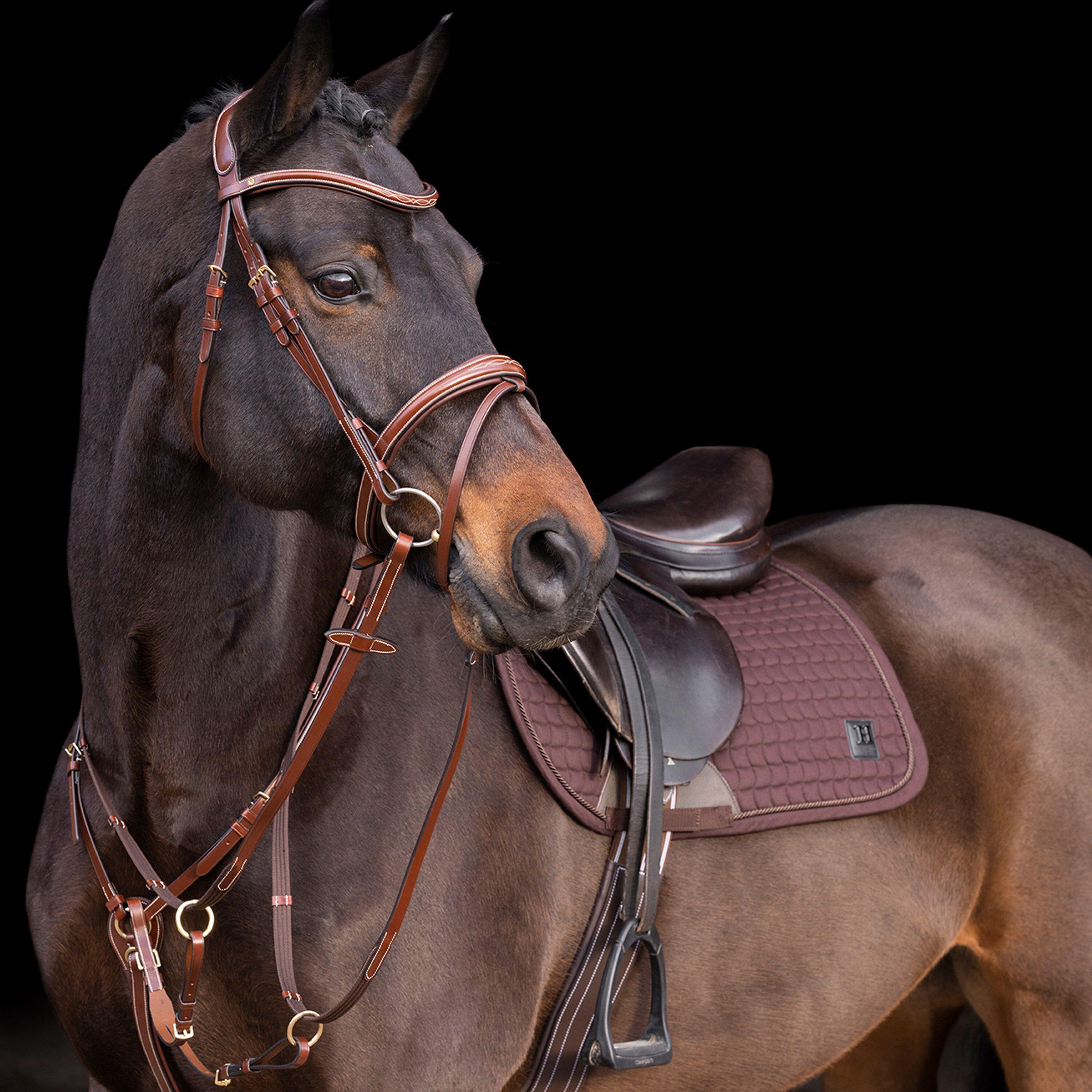 Martingale dla koni HV Polo Legacy