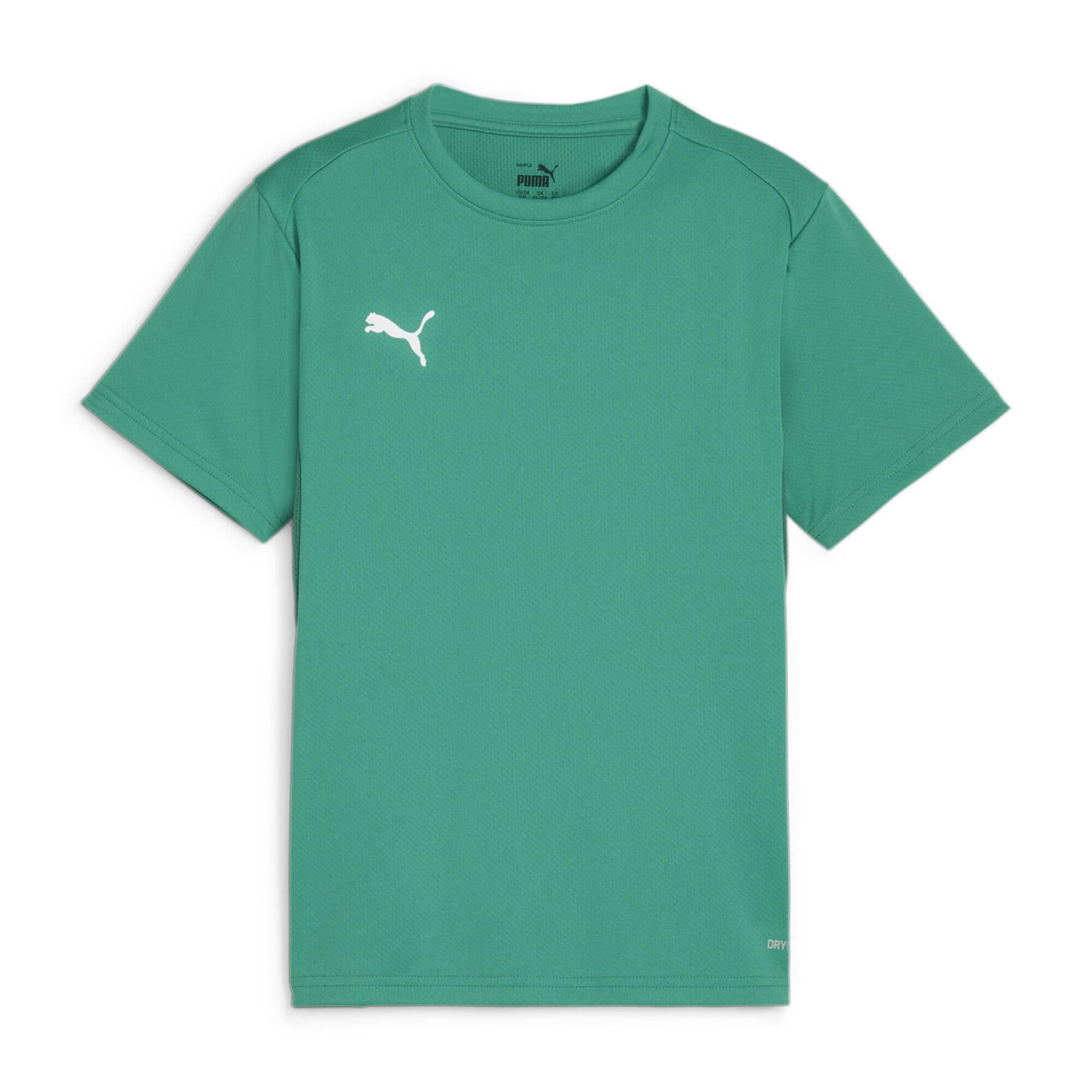Koszulka dla dzieci Puma TeamGoal Jersey