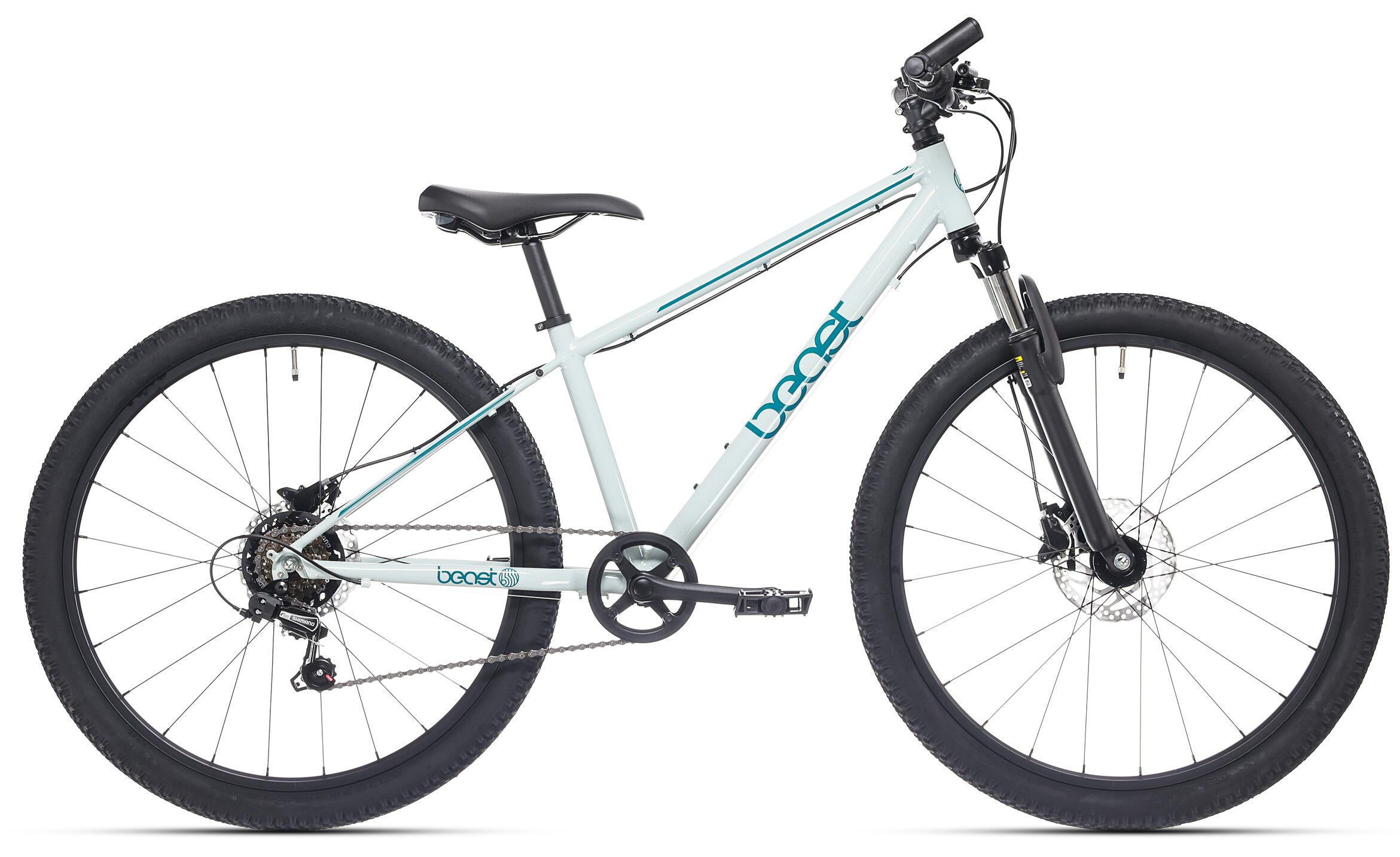 Bikefun Beast 26 rower dziecięcy Shimano 6 biegów hamulce tarczowe Seagrass