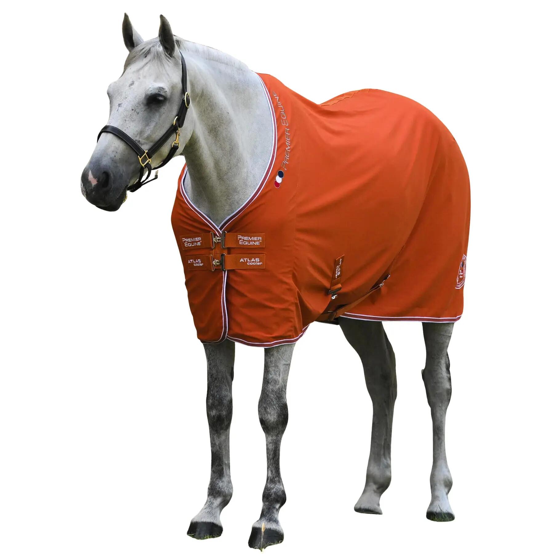 Derka osuszające dla koni Premier Equine Atlas Cooler