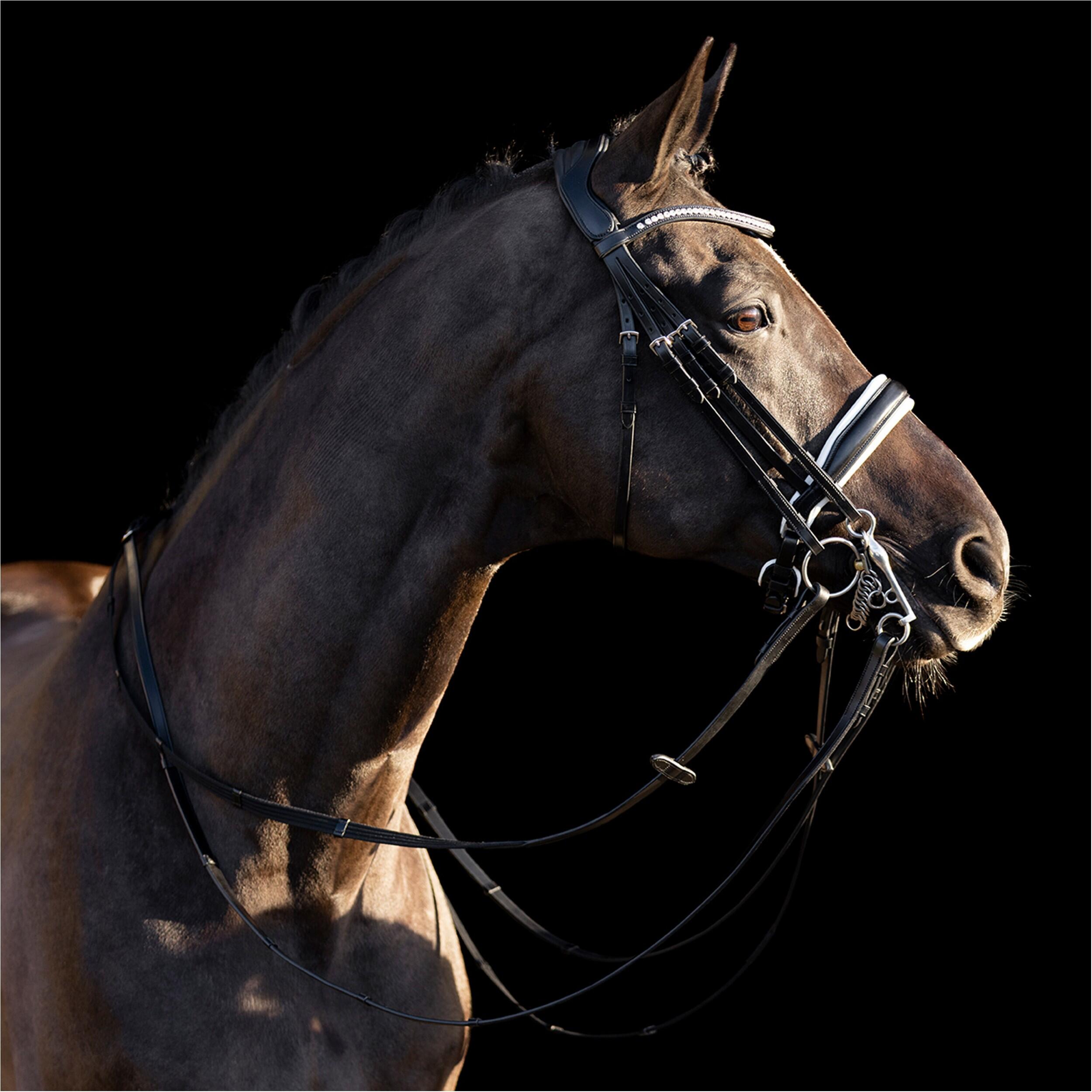 Uzda jeździecka HV Polo Legacy deluxe