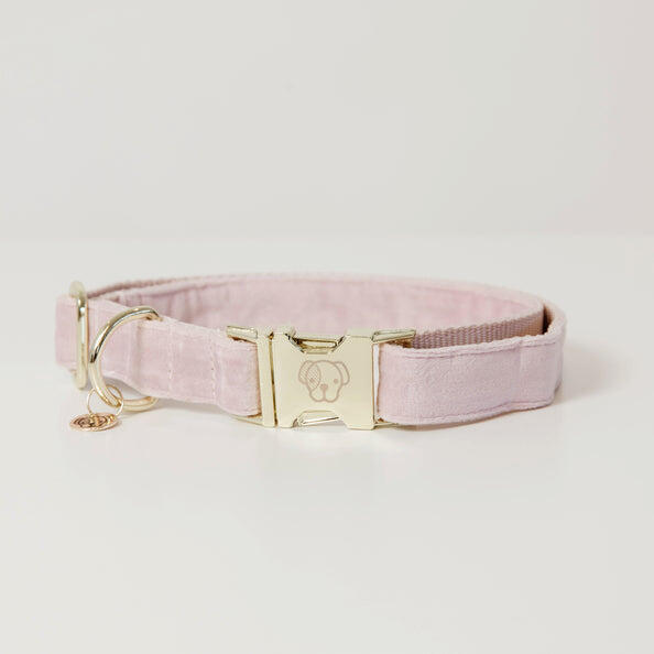 Obroża dla psa Kentucky Velvet