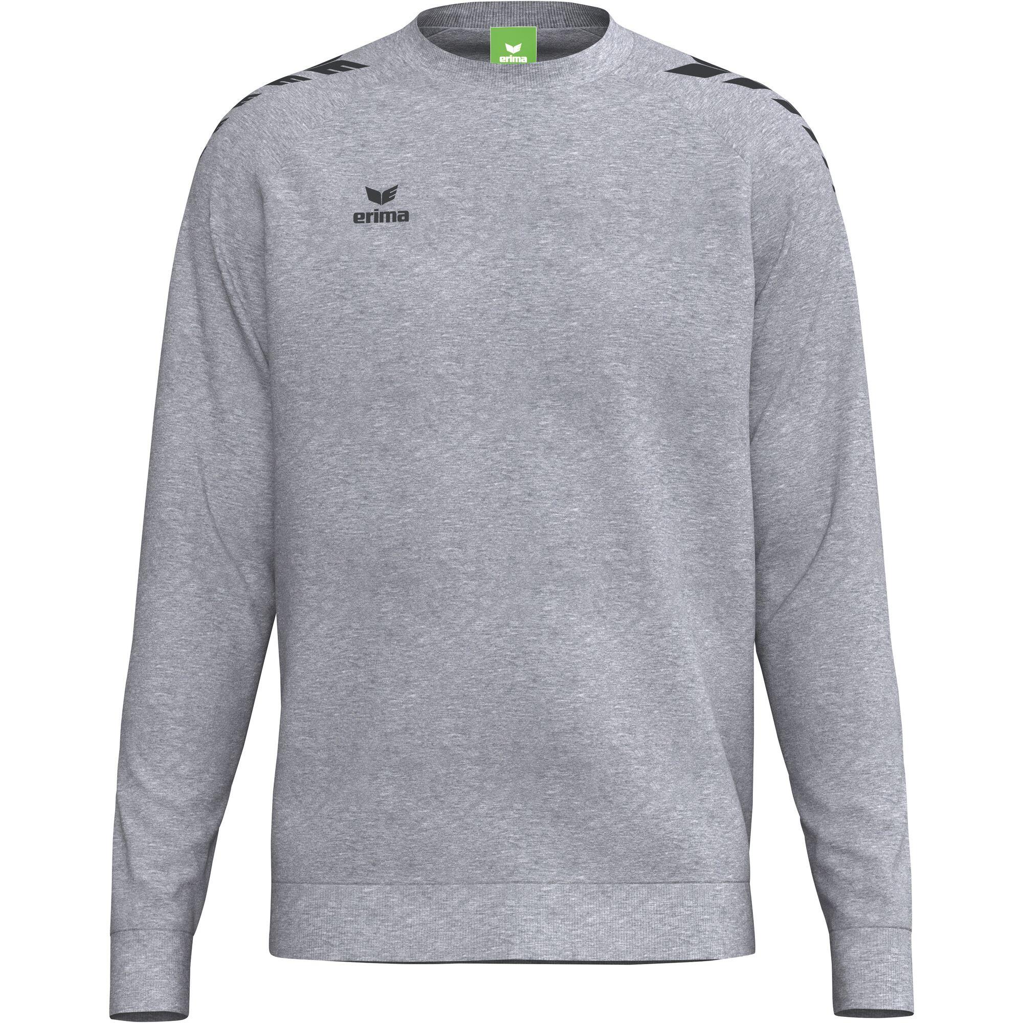 Bluza Erima Cmpt Wings szara