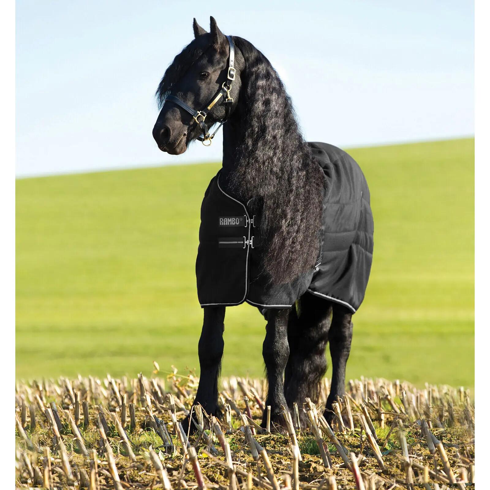 Koc dla konia Rambo 100g Horseware