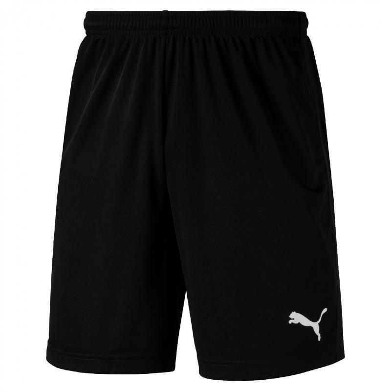 Spodnie treningowe męskie Puma Liga Training Shorts Core