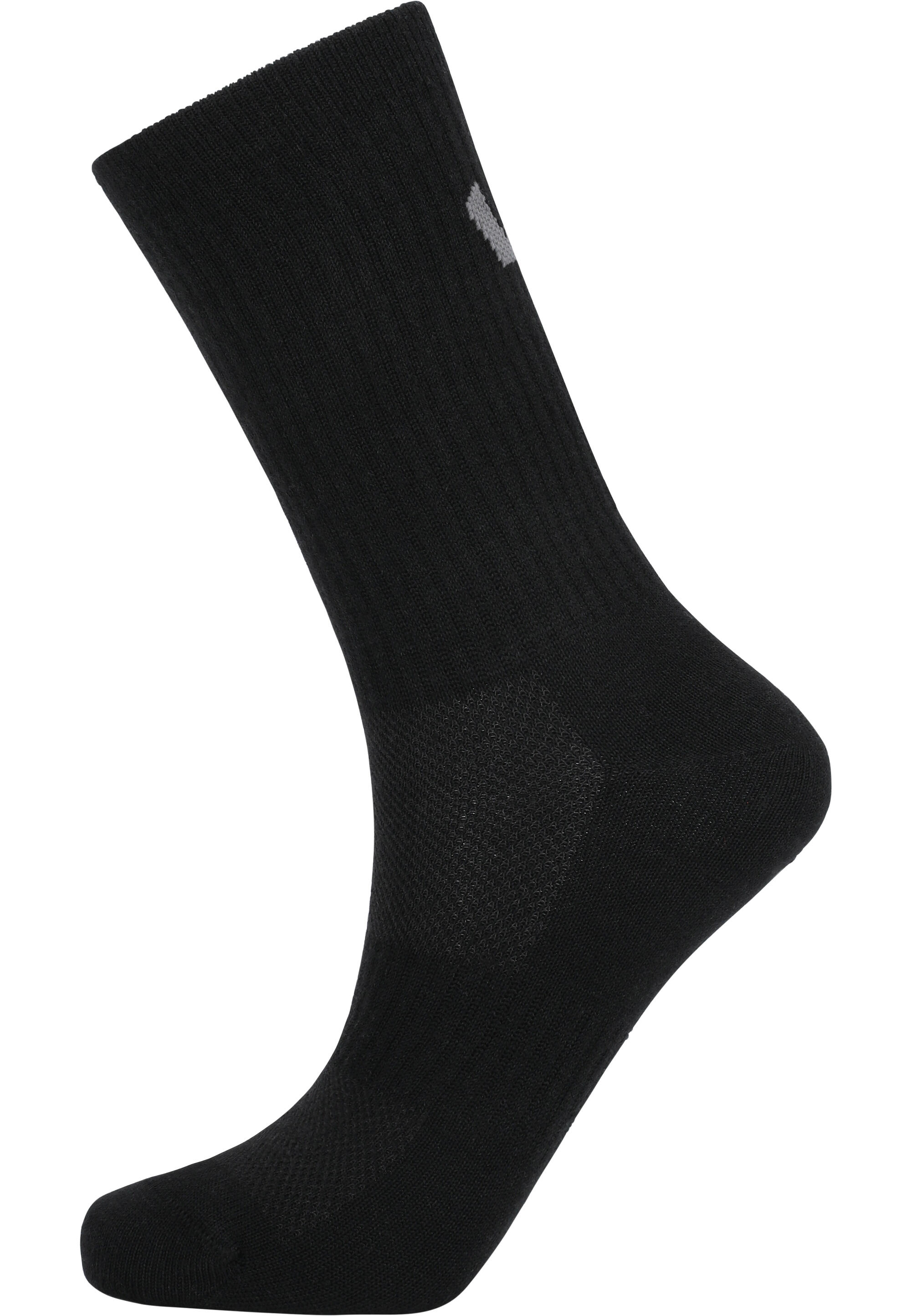 Skarpetki Whistler Journey Wool