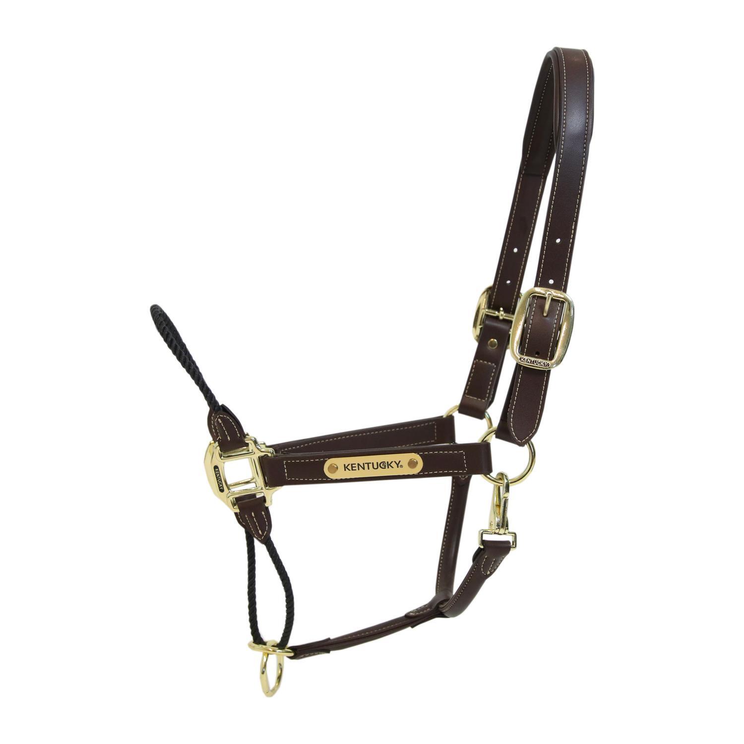 Skórzana halterka dla koni Kentucky Rope