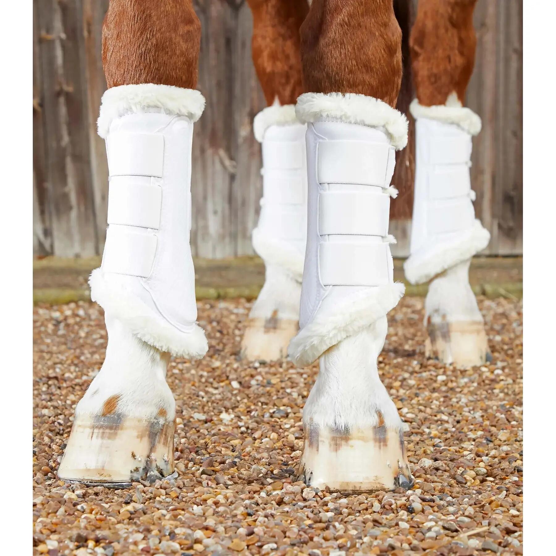 Ochraniacze dla koni z podszewką z wełny Premier Equine Air-Tech Techno