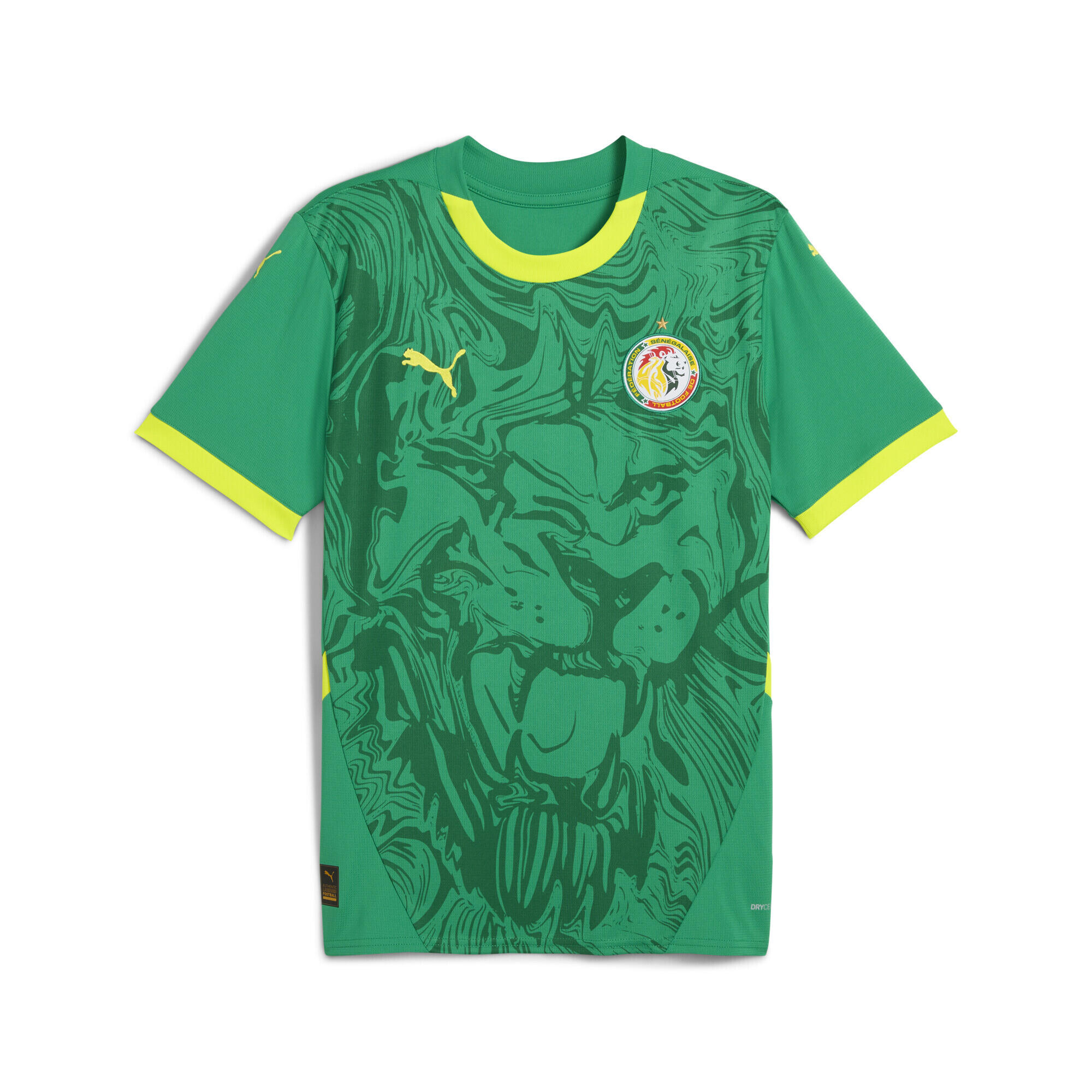 Męska koszulka wyjazdowa Senegal 2025 PUMA