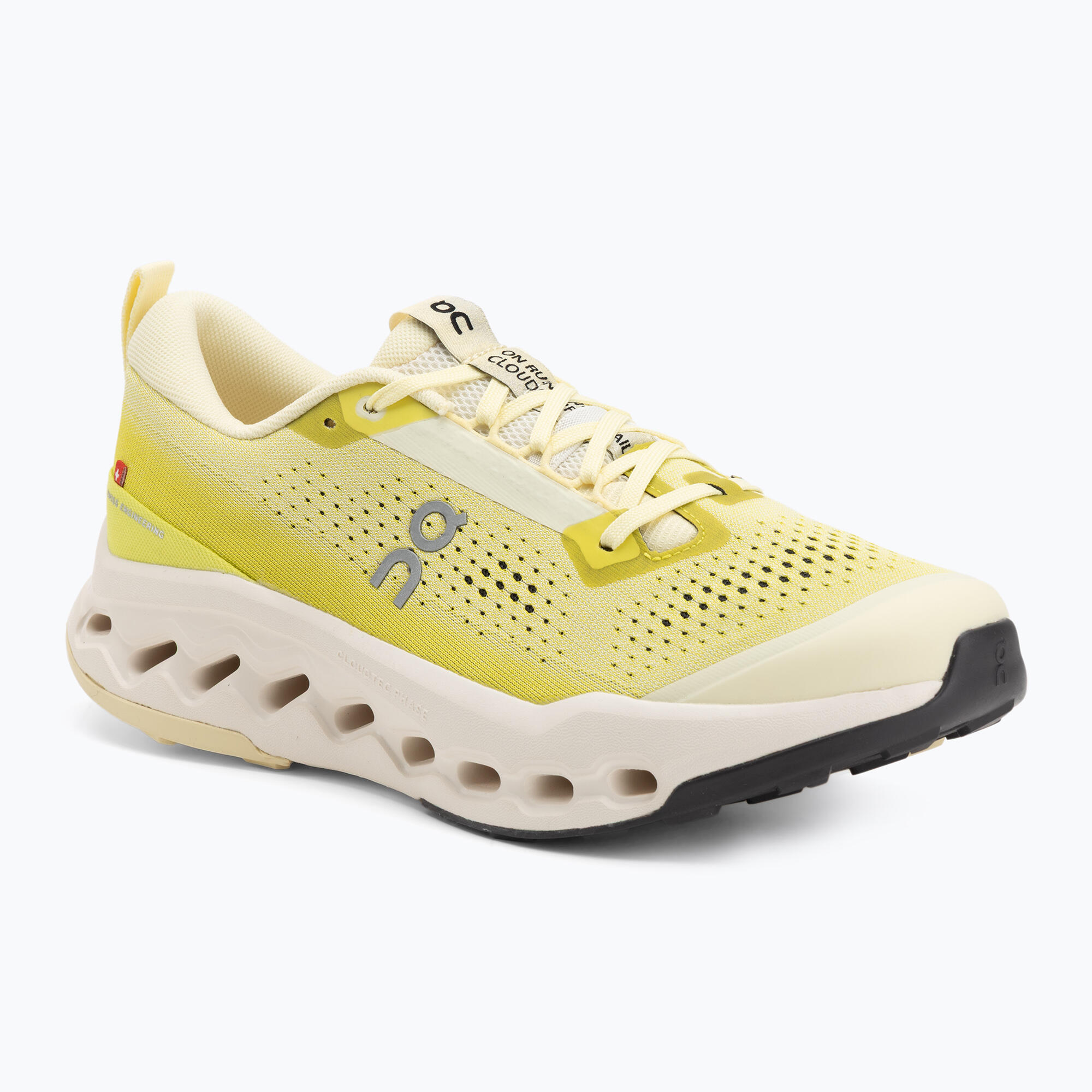 Buty do biegania męskie On Cloudsurfer Trail 2