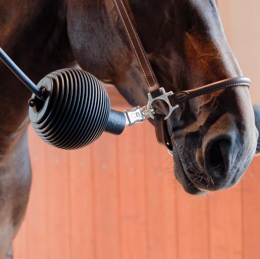Ochraniacz do lonży dla konia z gumy Grooming Deluxe