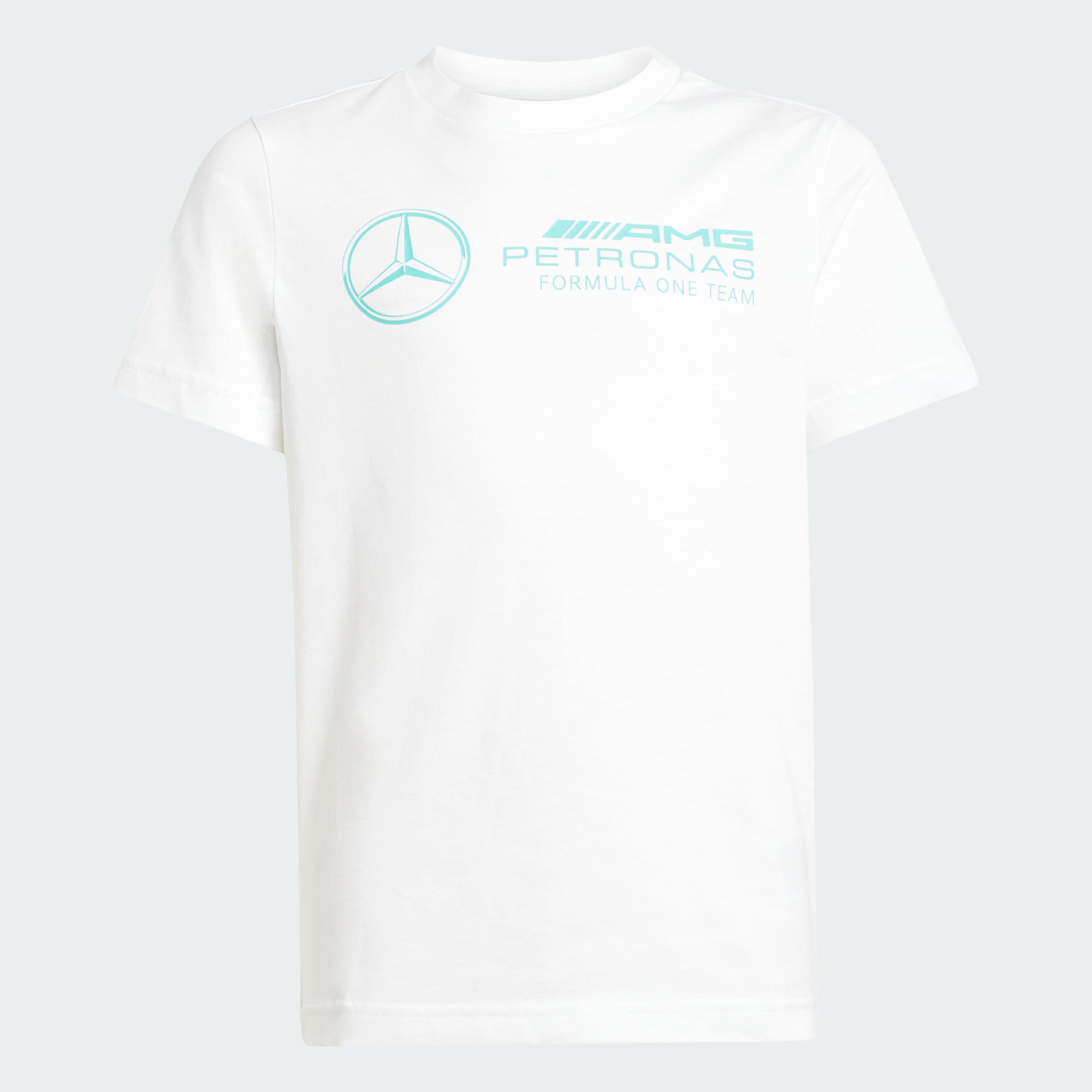 KOSZULKA MERCEDES - AMG PETRONAS FORMULA ONE TEAM DNA GRAPHIC