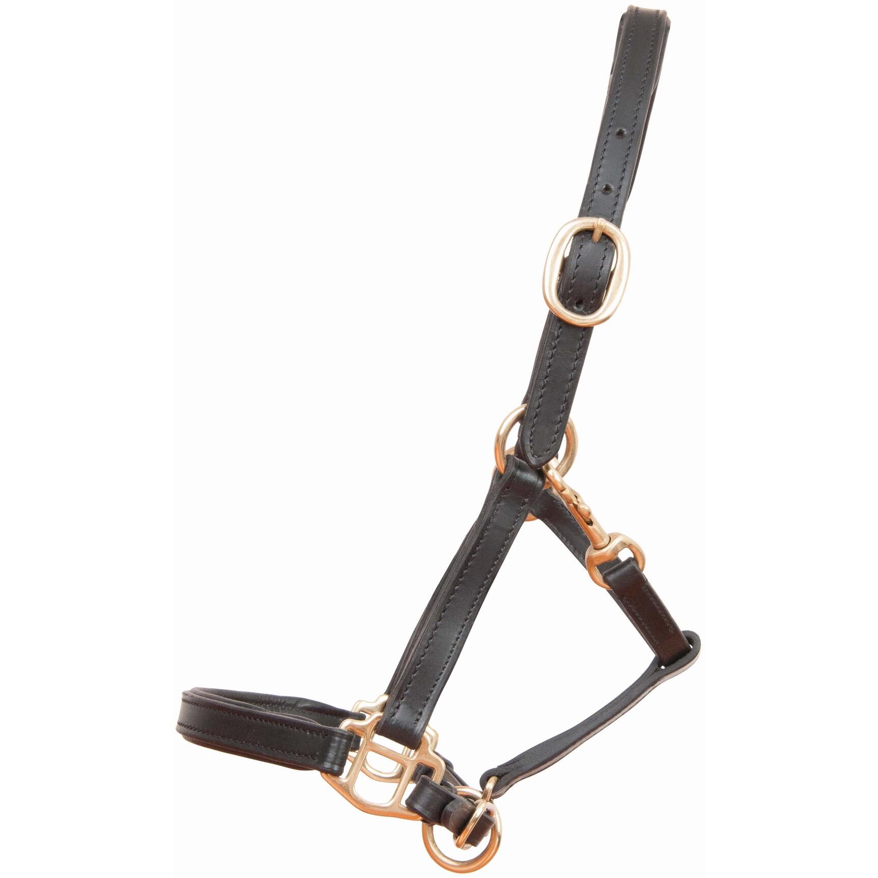 Halter dla źrebaka lub mini konia skórzany T de T