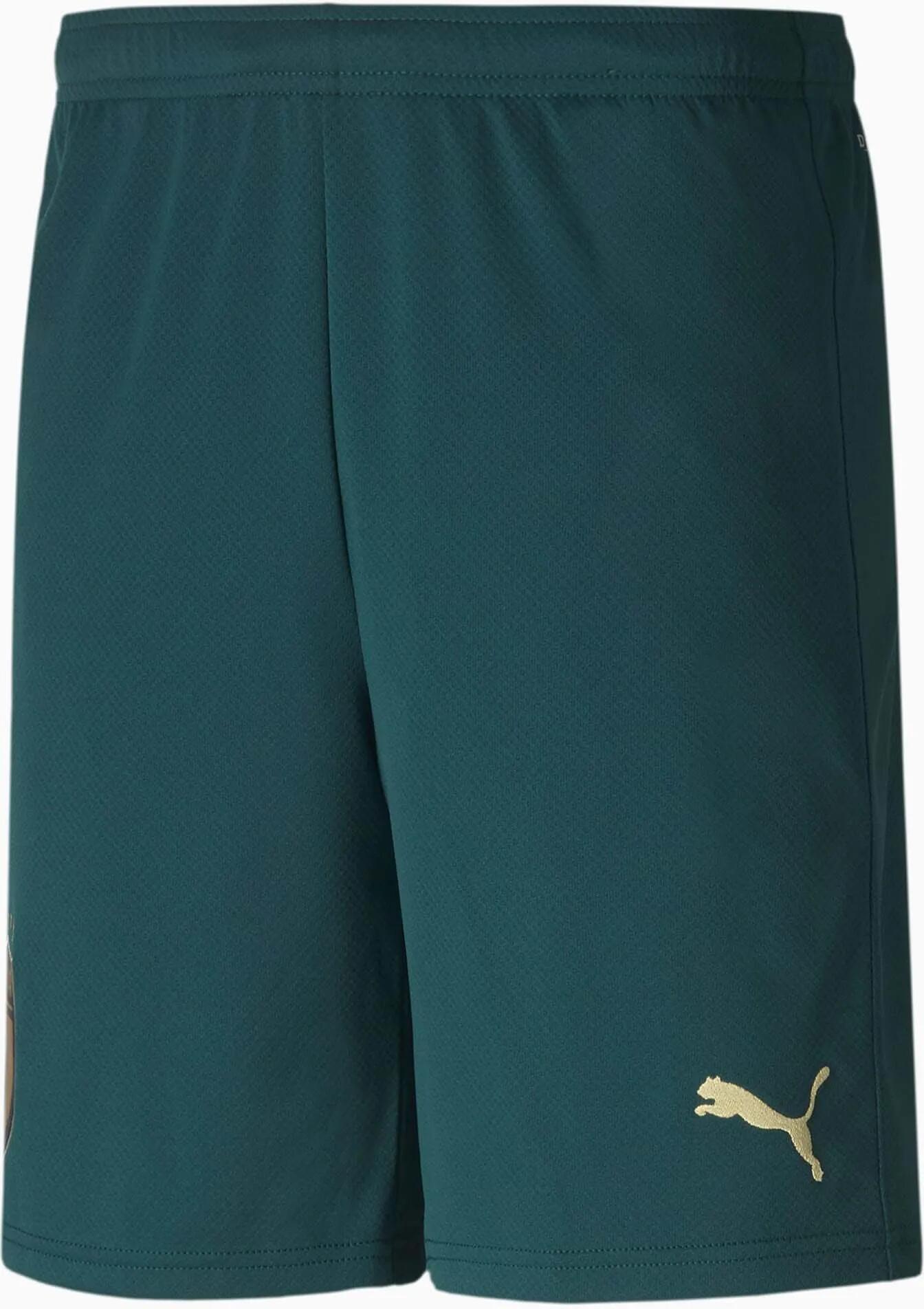 Męskie spodenki Puma Figc Trhird Shorts Replica Green
