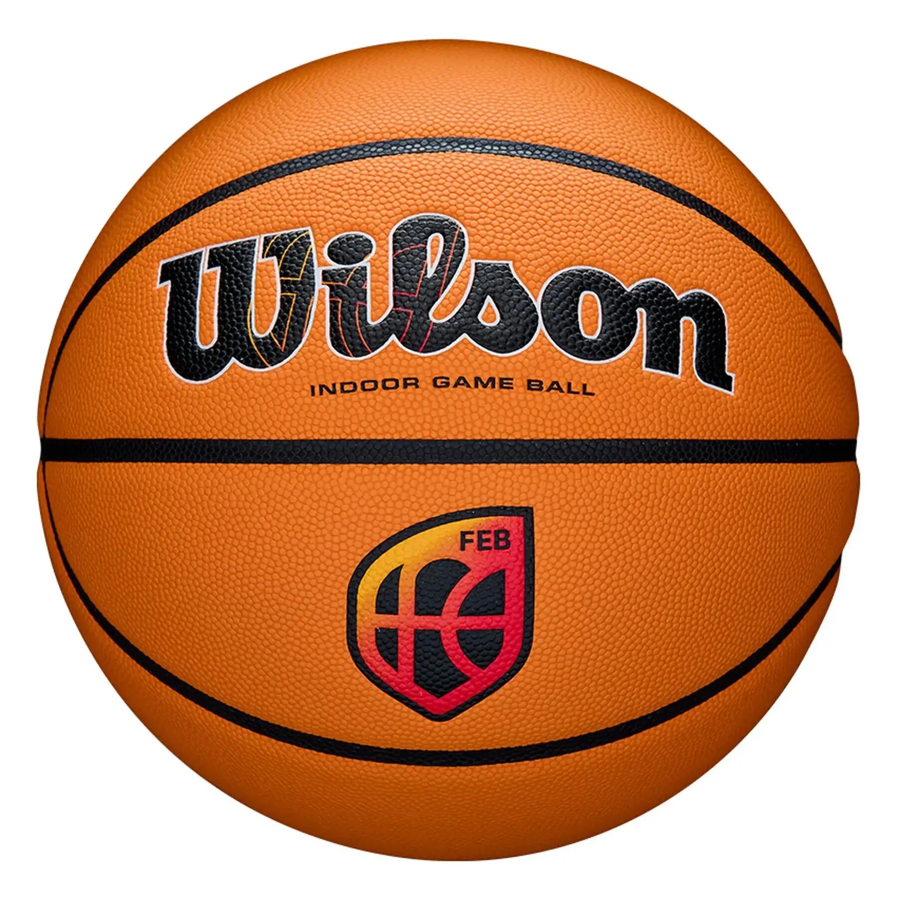 Piłka Wilson Evo NXT
