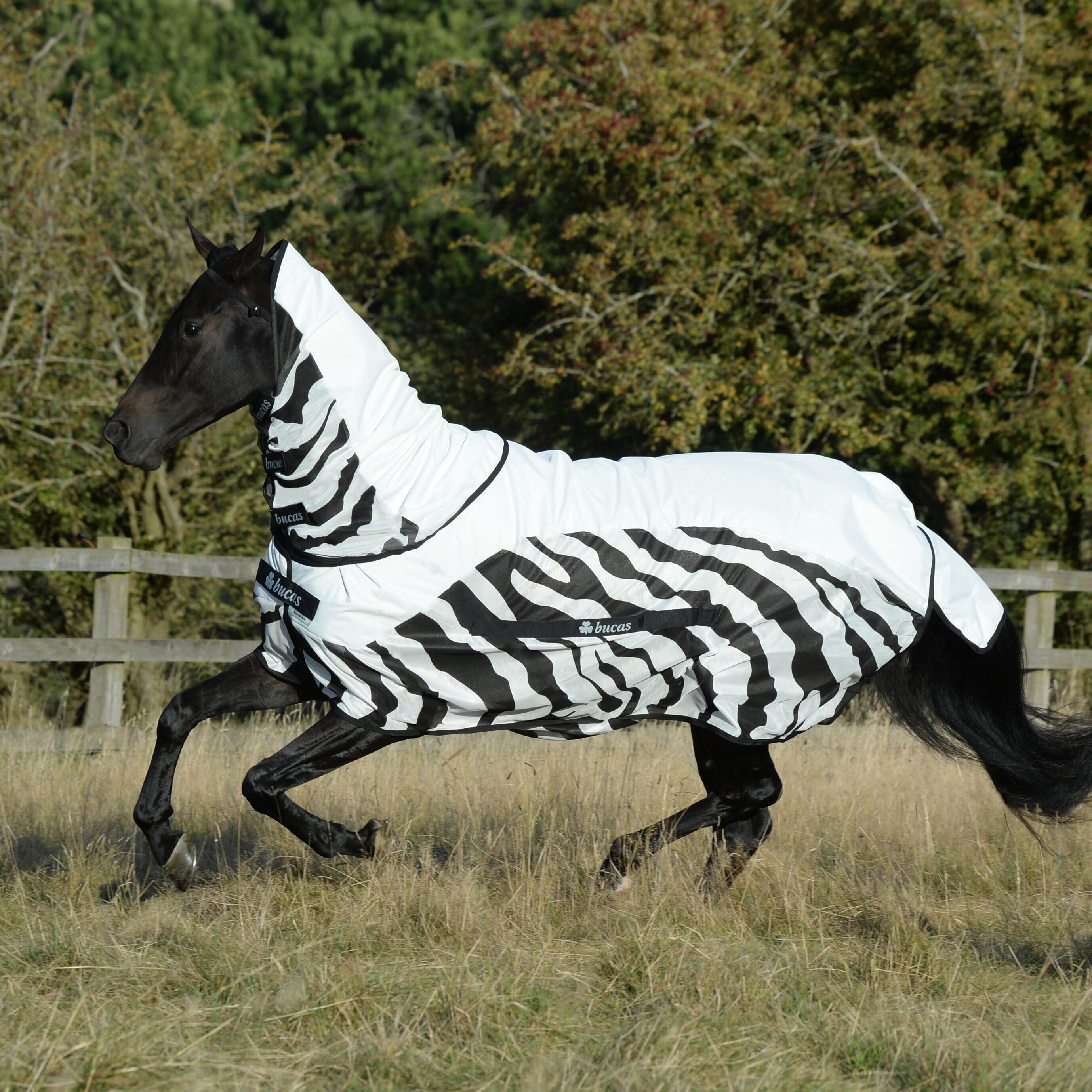 Wodoodporna derka dla koni Bucas Rain Zebra