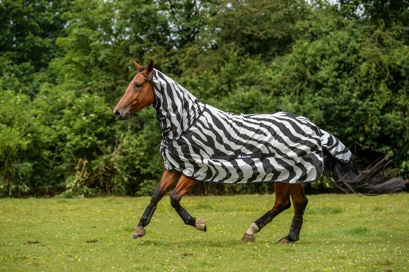 Derka przeciw muchom dla koni z osłoną szyi Bucas Buzz-Off Zebra