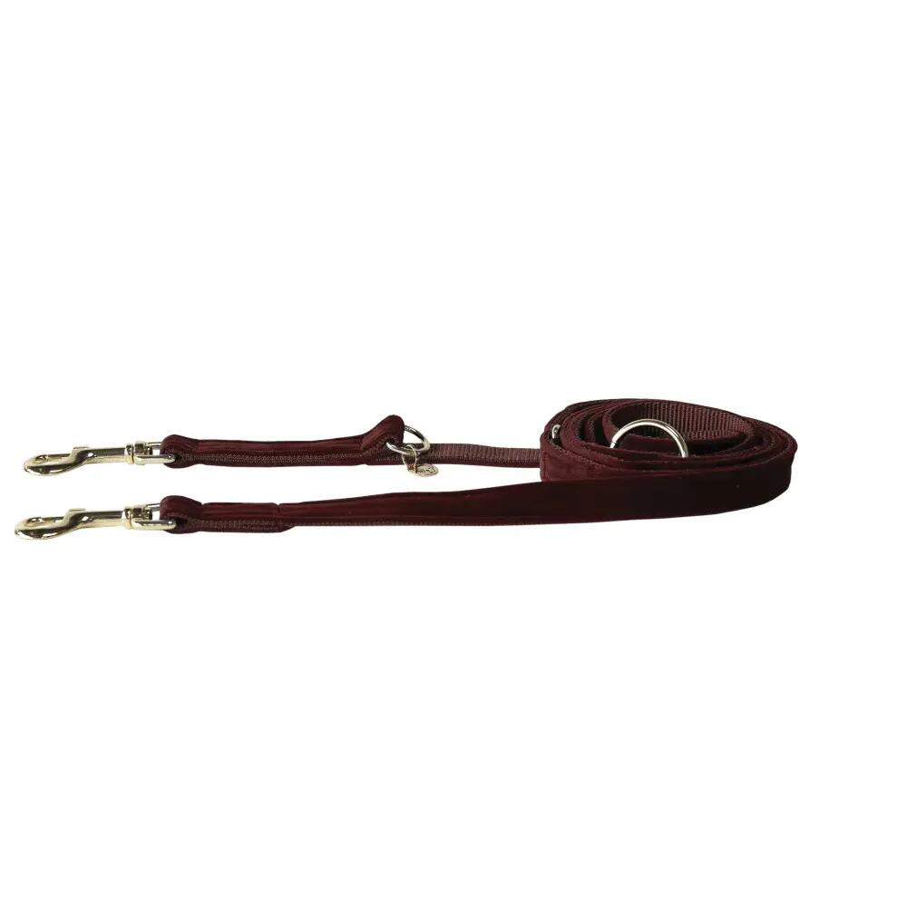 Smycz dla psa Kentucky Velvet 200 cm