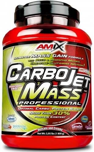 CarboJet Mass Professional - 3 kg Owoce leśne Amix Nutrition