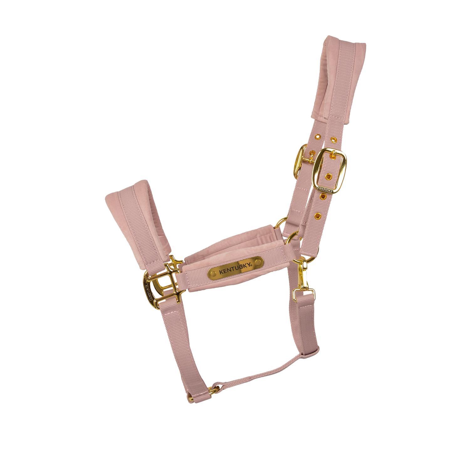 Nylonowy kantar dla konia Kentucky Horsewear