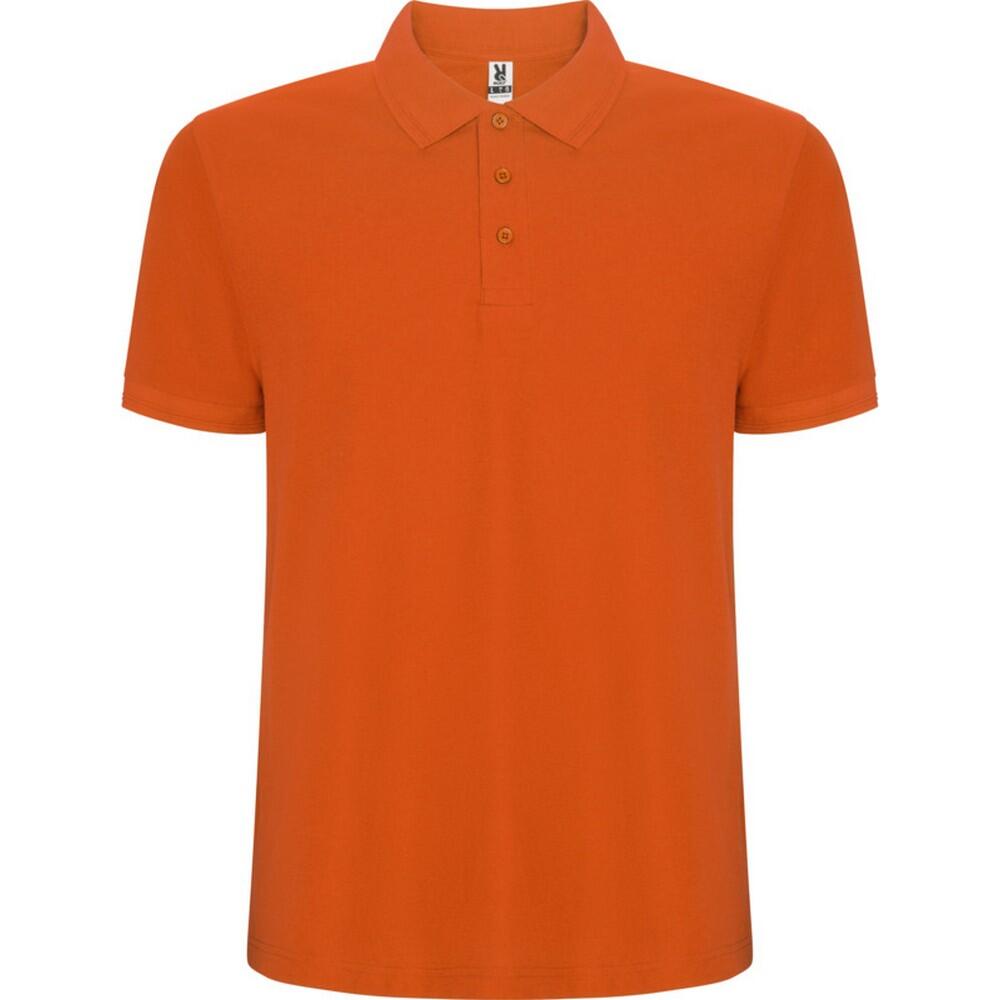 Męska Koszulka Polo Pegaso Premium Plain