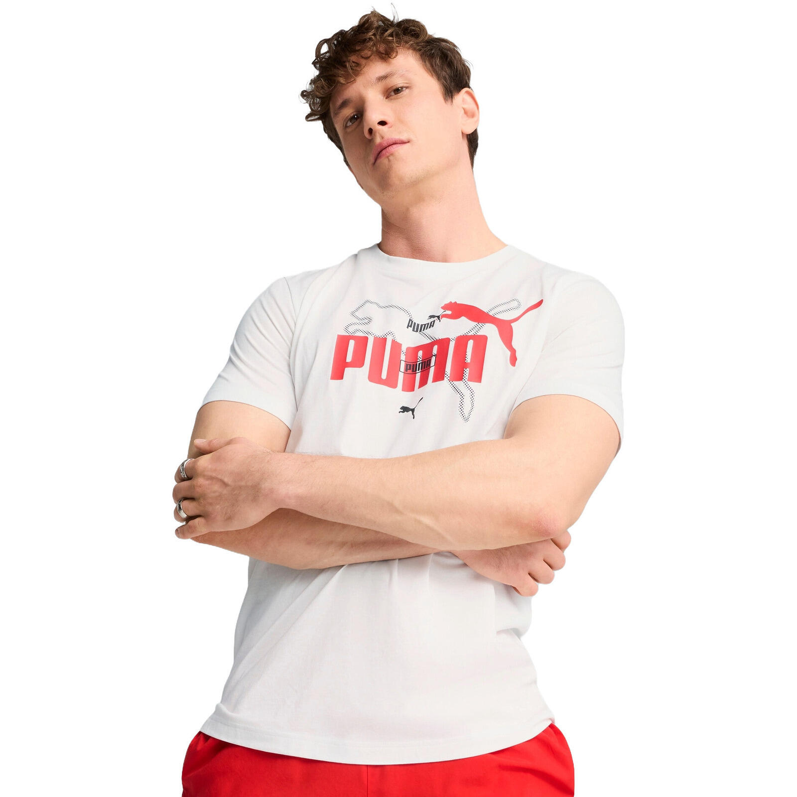 Koszulka Puma Ess Logo Lab Summer Tee, Mężczyźni