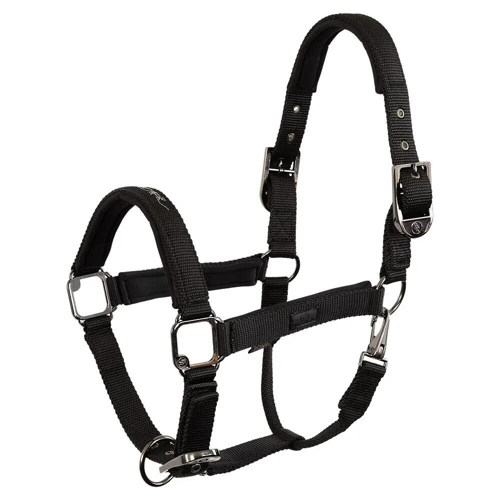 Smycz nylonowa BR Equitation Eevolv Josh