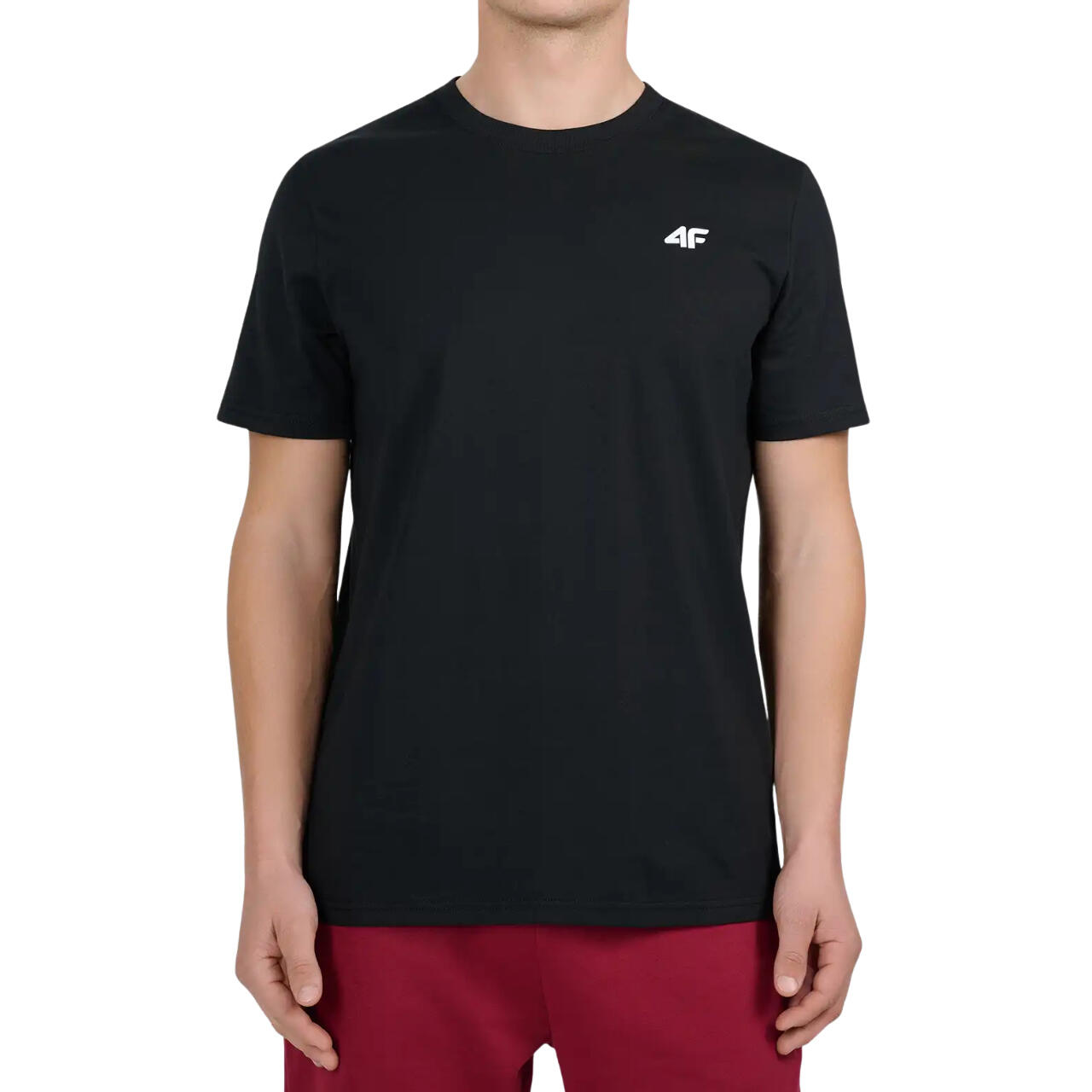 Koszulka męska 4F - bawełniany T-shirt, regular fit.