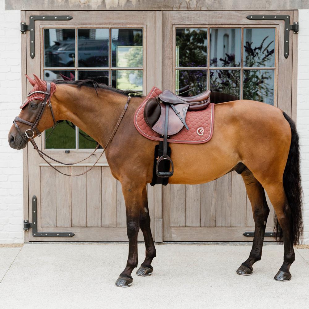 Zdjęcia - Jeździectwo KENTUCKY HORSEWEAR Czapka z muchą dla koni Kentucky Wellington 3D Logo Różowy NO SIZE