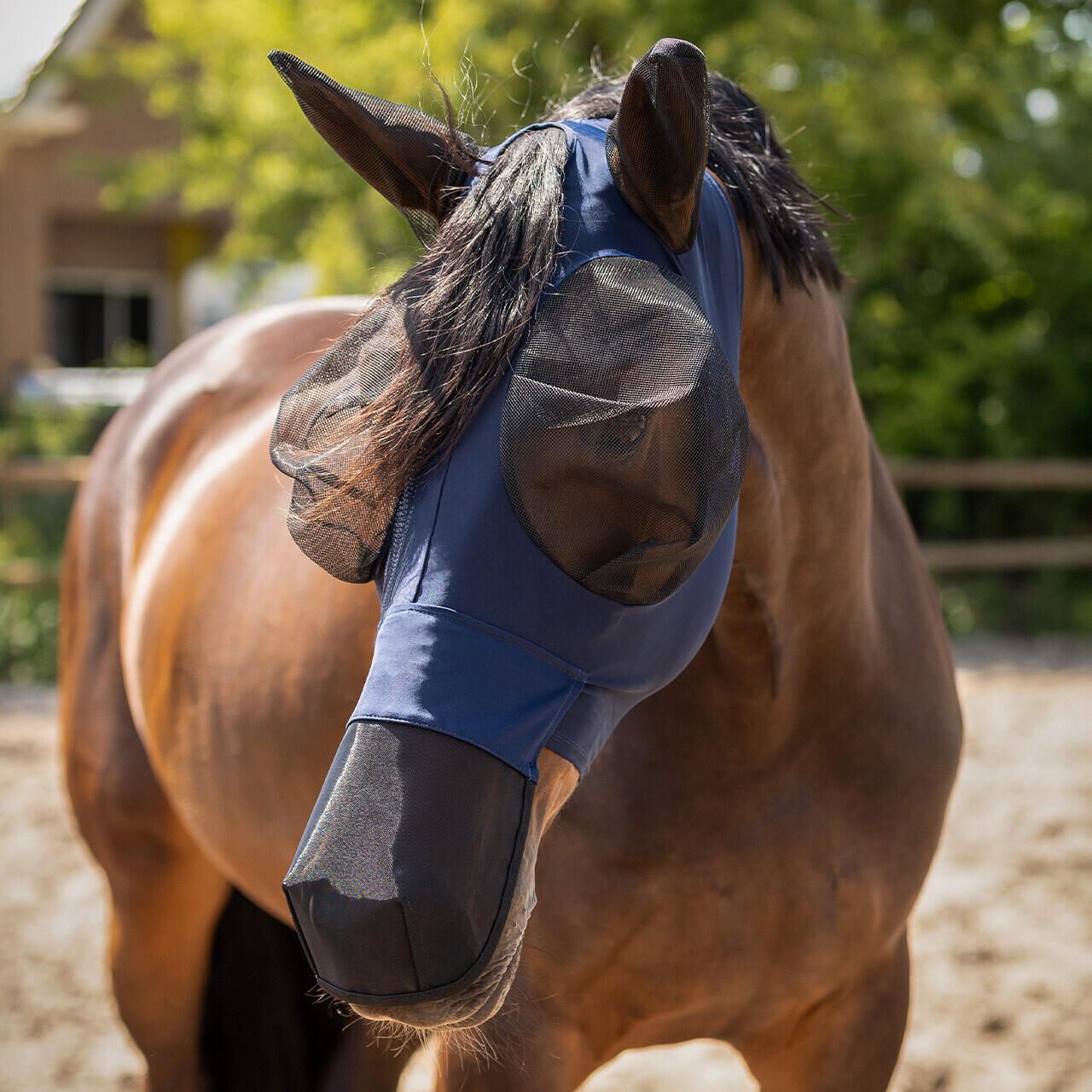QHP Vliegenmasker Super Bug met Neusbescherming - Navy (X-Full)