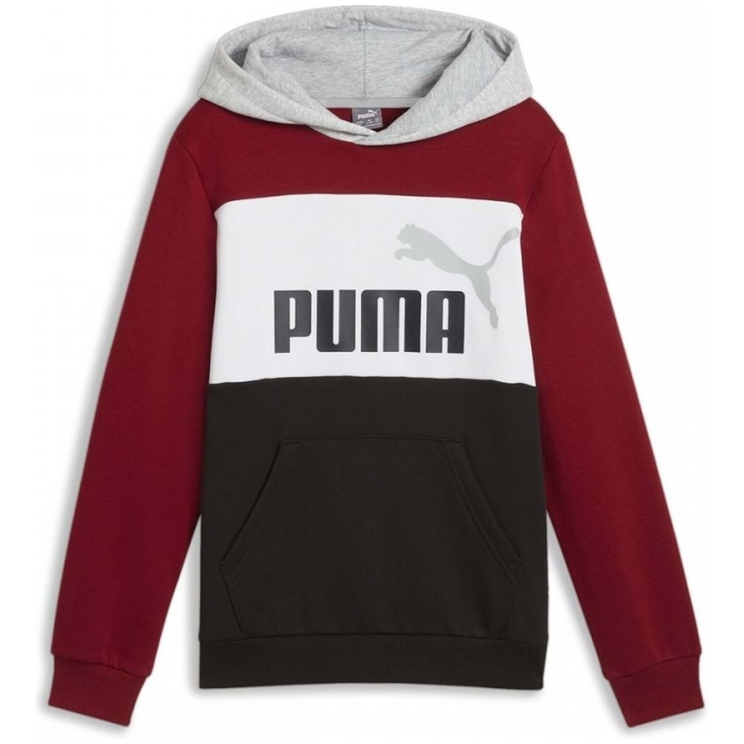 Puma Bluza Ess Block Fl 67971713
