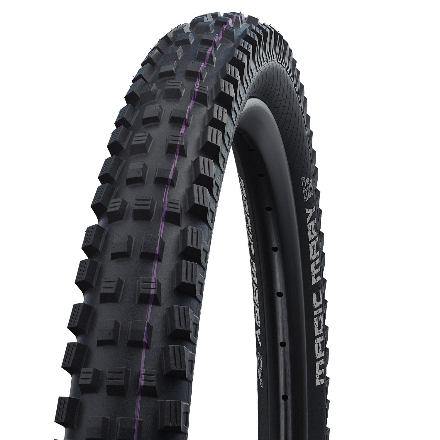 Magic Mary - TLR - ADDIX Ultra Soft - Gravity Pro - 29x2.40 - Black