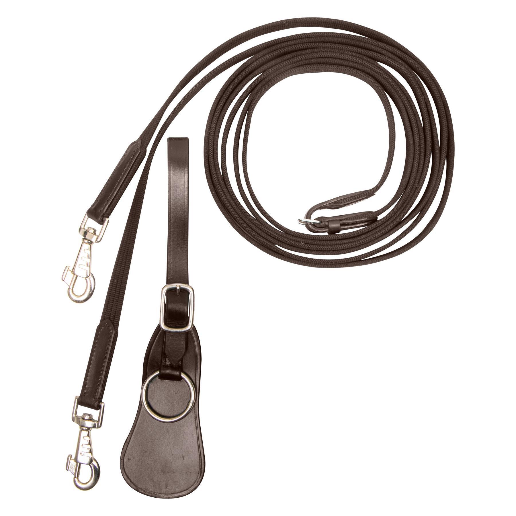 Niemiecki dąb Imperial Riding SH Core