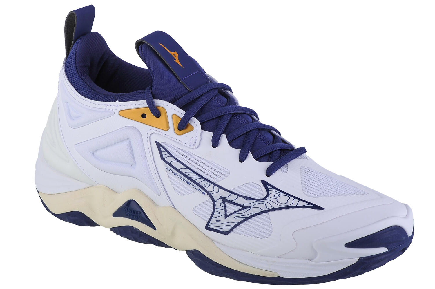 Buty siatkarskie męskie Mizuno Wave Momentum 3 45