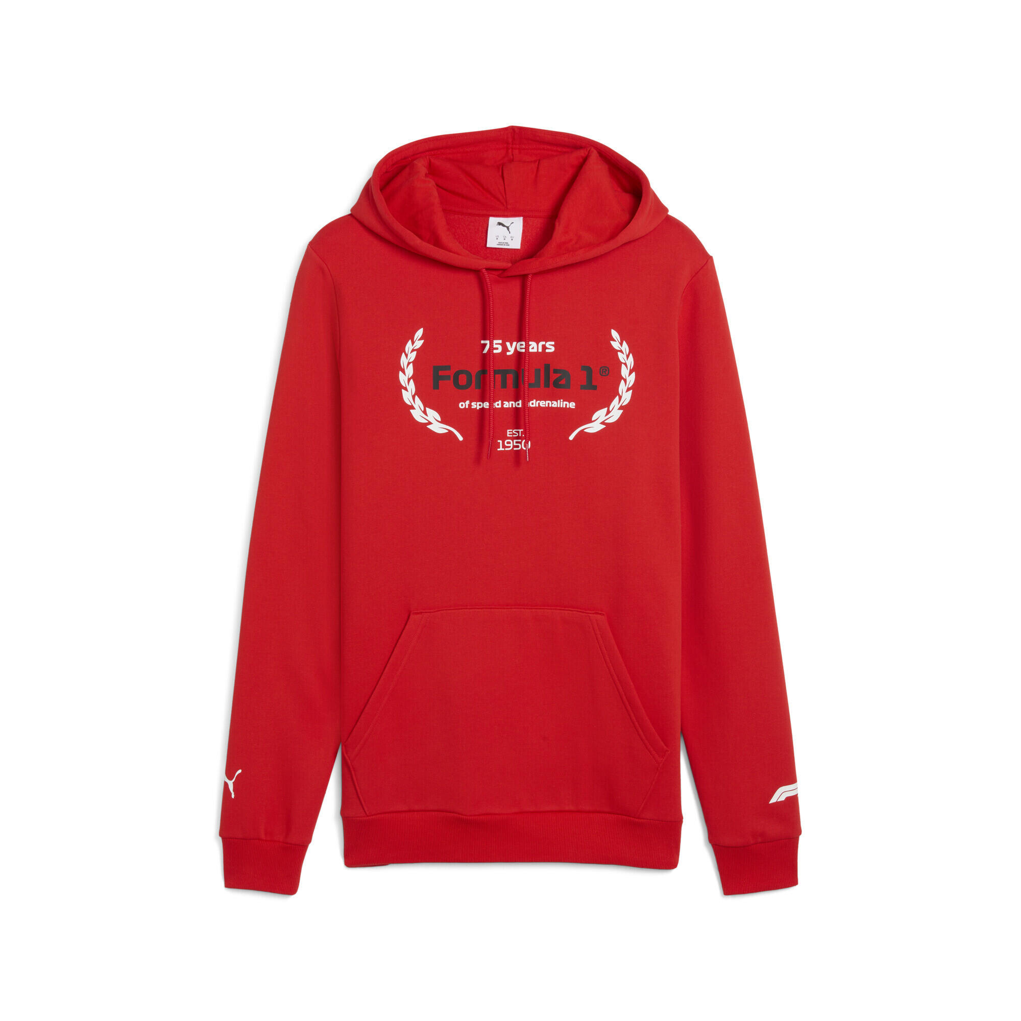 Męska bluza z kapturem F1® Essentials z logo i grafiką PUMA