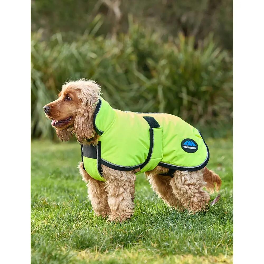 Sierść psa Weatherbeeta Comfitec Reflective Deluxe 300D